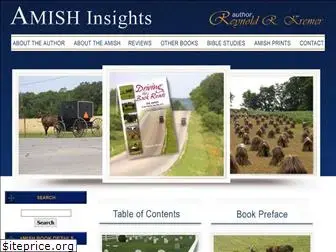 amishinsights.com