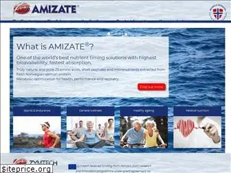 amizate-norway.com