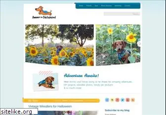 ammothedachshund.com