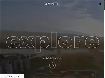 amnex.com