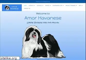 amorhavanese.com