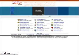 amray.com