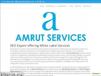 amrutservices.com