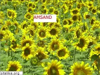 amsand.net