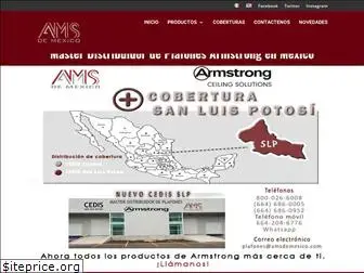 amsdemexico.com.mx