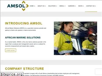 amsol.co.za