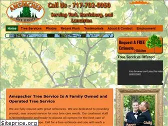 amspachertreeservice.com