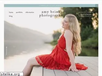 amybrinkphotography.com