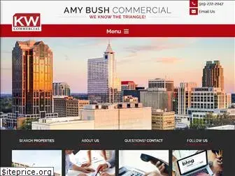 amybushcommercial.com
