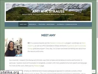 amyvhstrauss.com