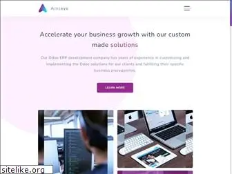 amzsys.com