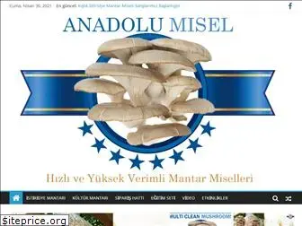 anadolumisel.com