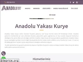 anadoluyakasikurye.com