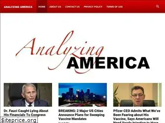 analyzingamerica.org