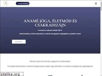 anameprogram.com