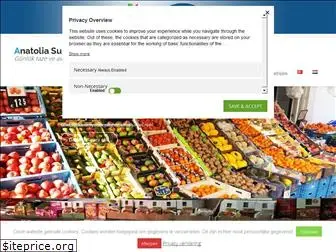 anatoliasupermarkt.com