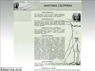 anatomia.net.pl