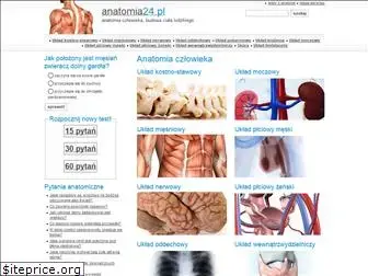 anatomia24.pl