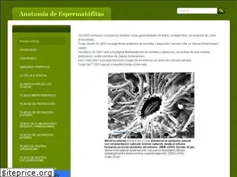 anatomiavegetal.weebly.com