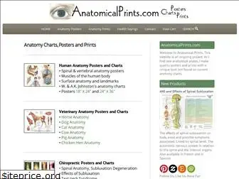 anatomicalprints.com