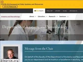 anatomy.vcu.edu