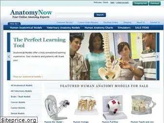anatomynow.com