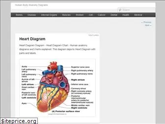 anatomysystem.com