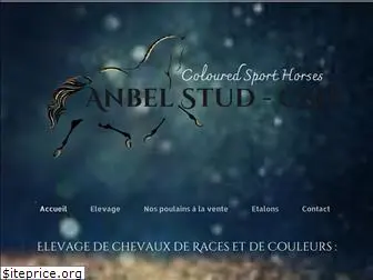 anbelstud-csh.fr