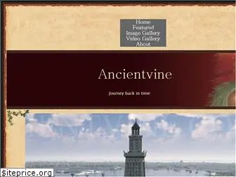 ancientvine.com