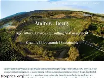 andrewbeedy.com