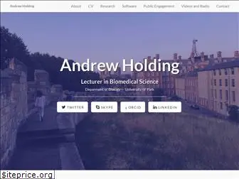 andrewholding.com