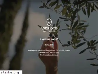 andriotis.co