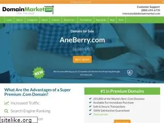 aneberry.com