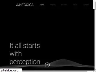 anecoica.net