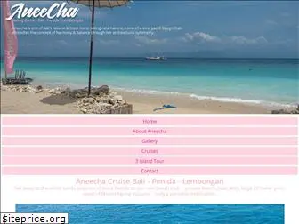 aneecha.com