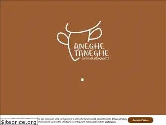 aneghetaneghe.com