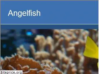 angelfish.com.au