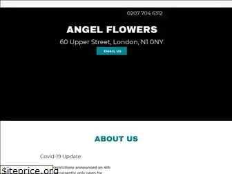 angelflowersandplants.co.uk