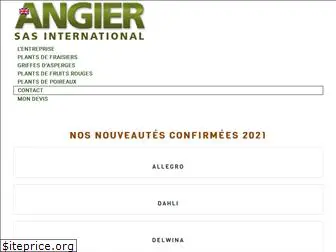 angier-international.com