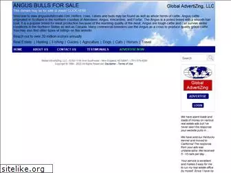 angusbullsforsale.com