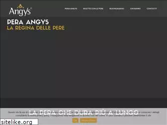 angys.net