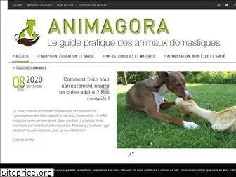 animagora.fr