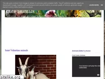 animal-animal-animal.blogspot.in