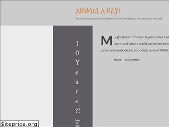 animaladay.blogspot.in