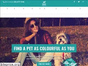 animaladoption.com.au