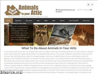 animalatticpest.com