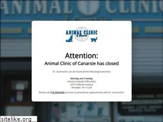 animalclinicofcanarsie.com