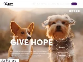 animalcompassionteam.com