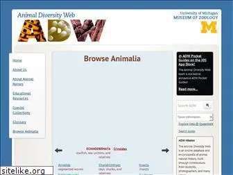 animaldiversity.org