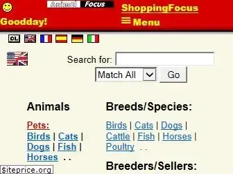 animalfocus.com